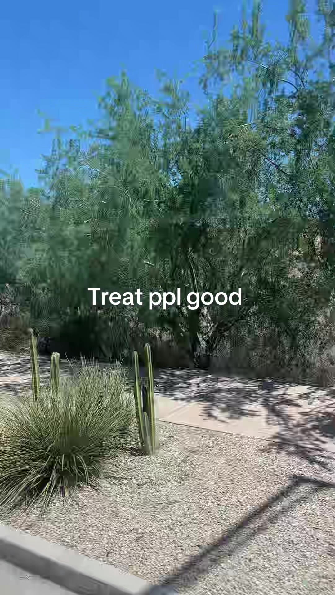@moelife