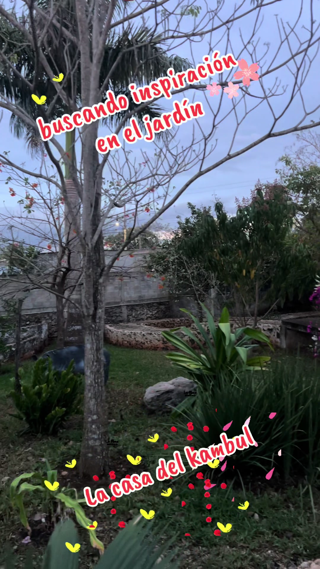 @La Casa Del Kambul