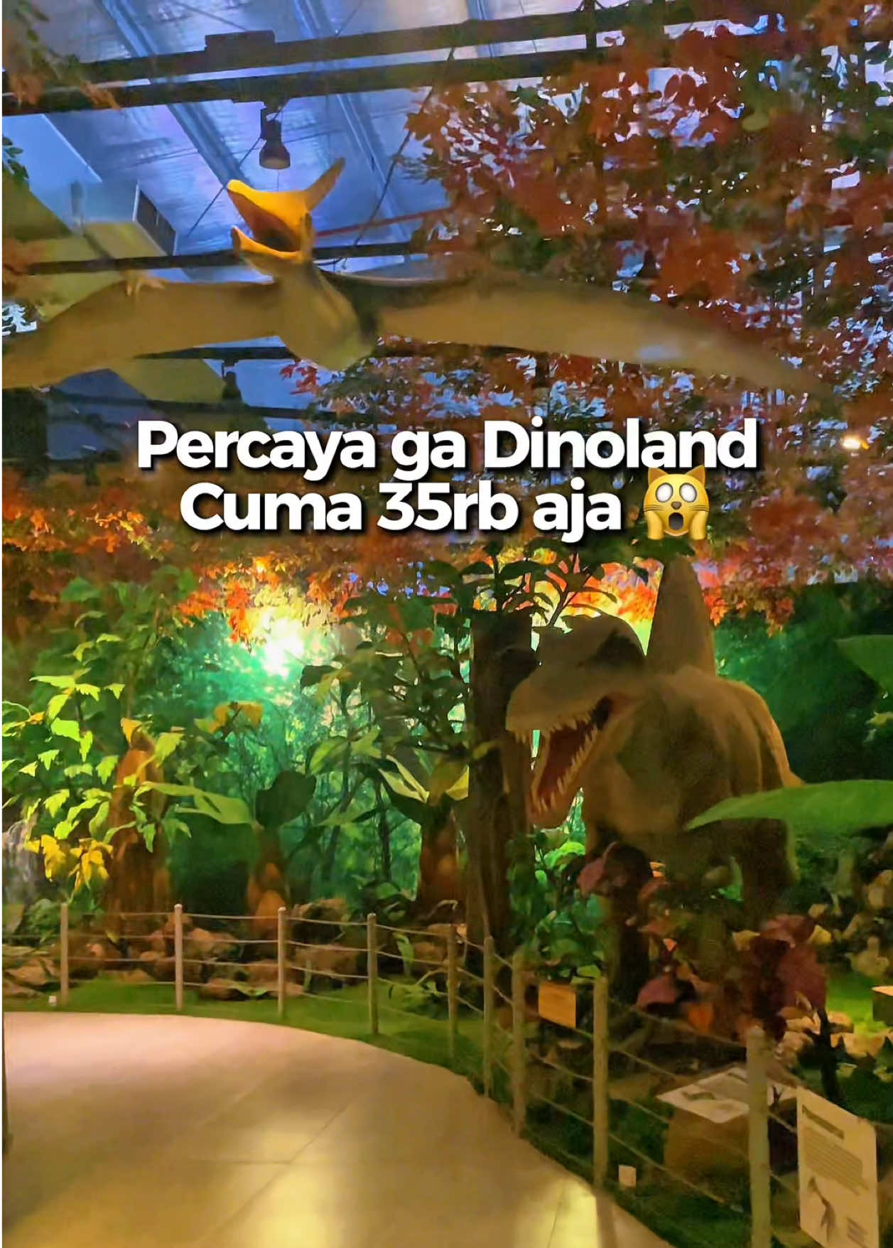 @hildaayp