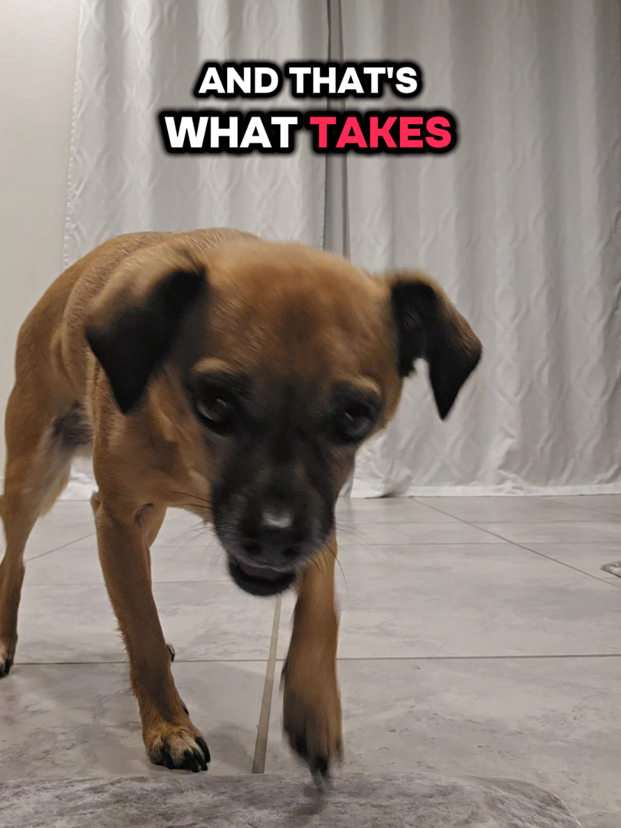 @Twix