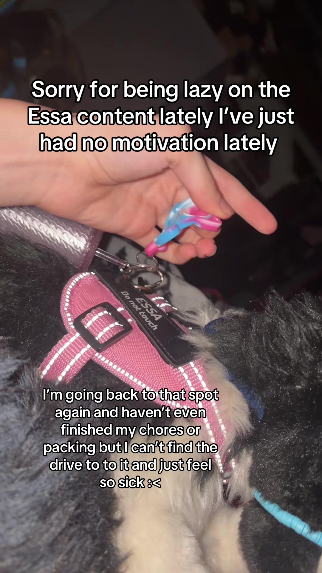 @Kaiden