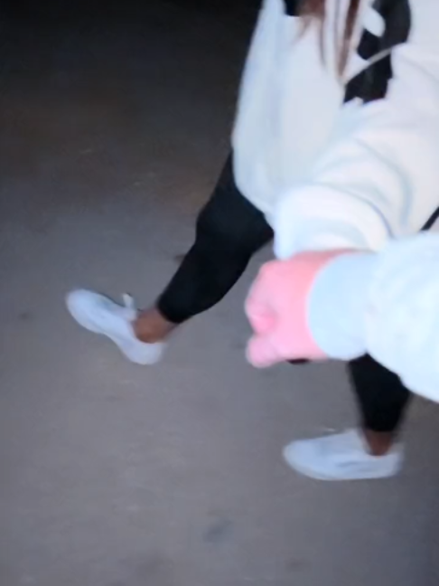 @Horses TikTok