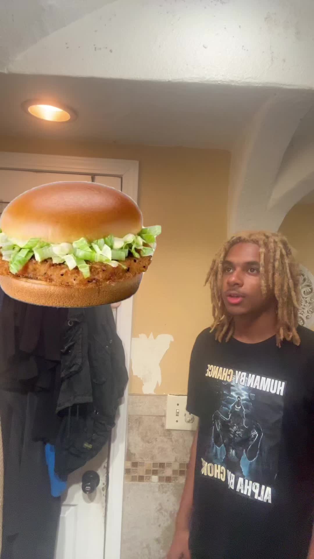 @ohbabyilovemcchickens