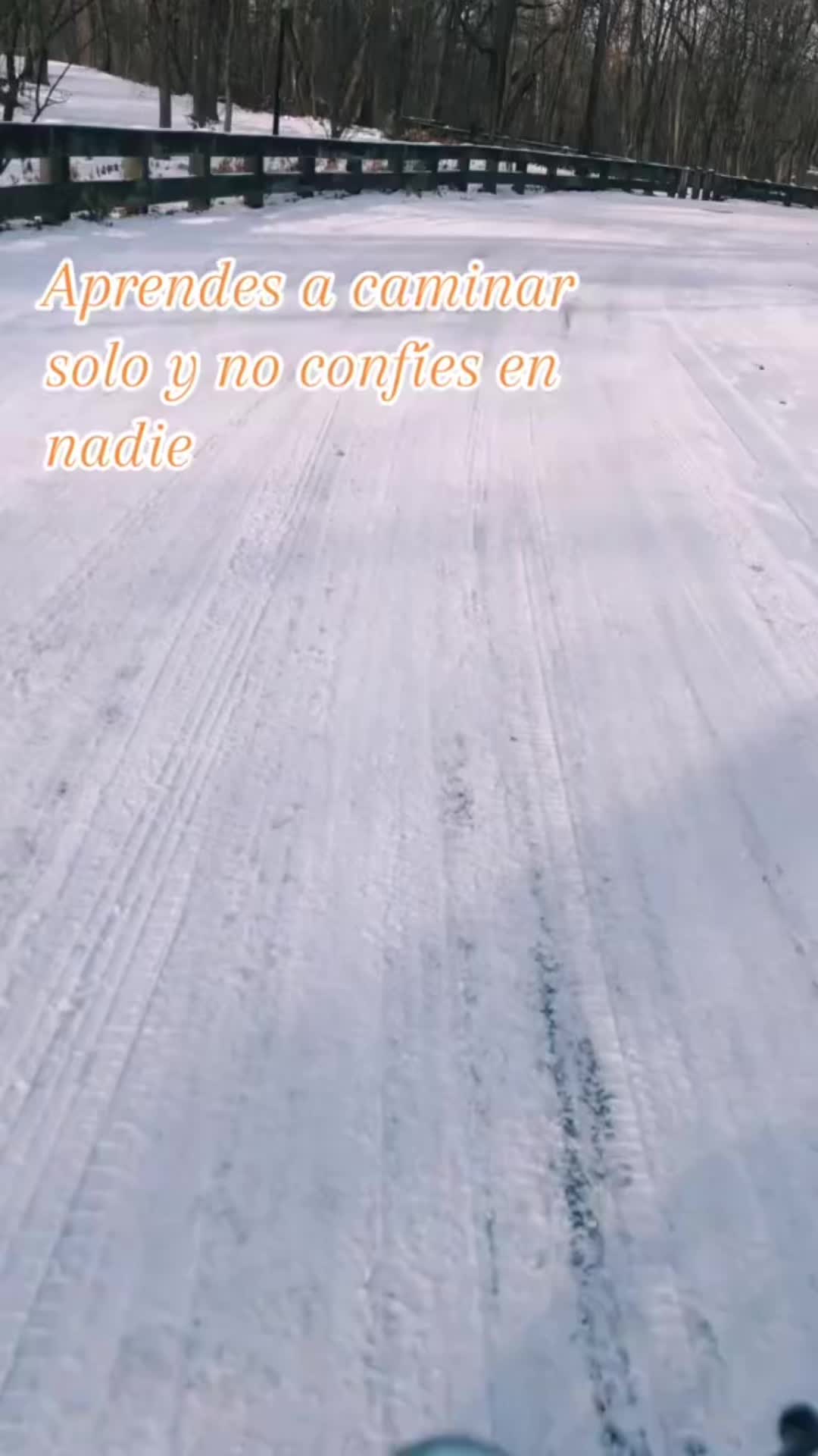 @angelauqui1