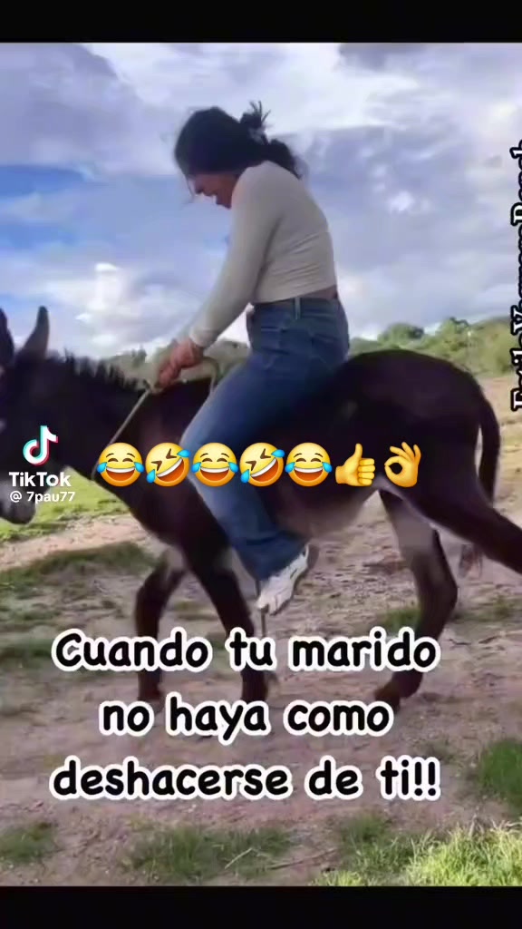 @👍🙏🙏🙏🙋✈️🗝 El chivito🐐🐬