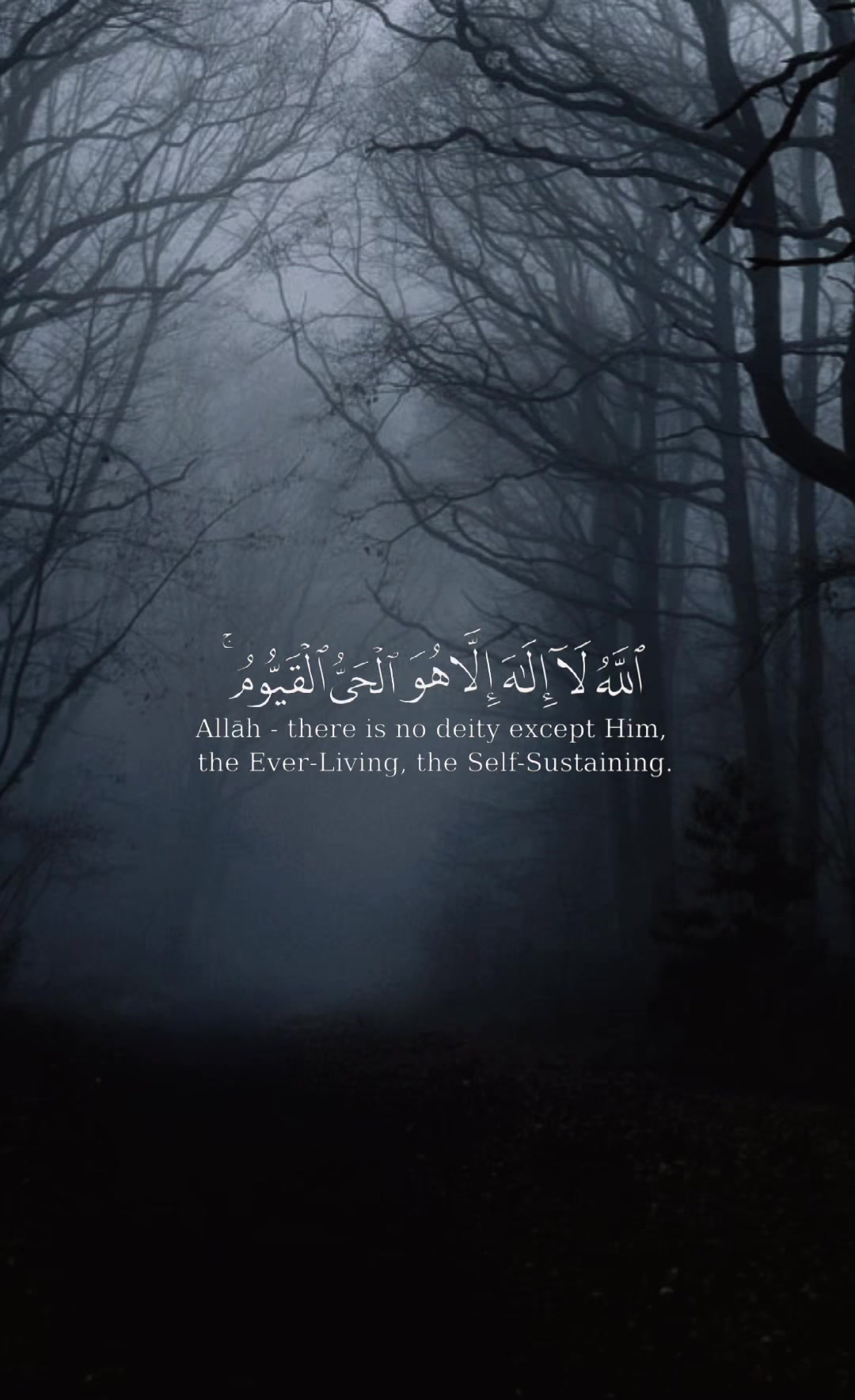 @.آيليڤ🎵..