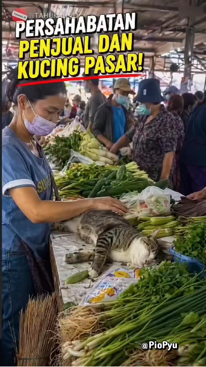 @Pio Pyu