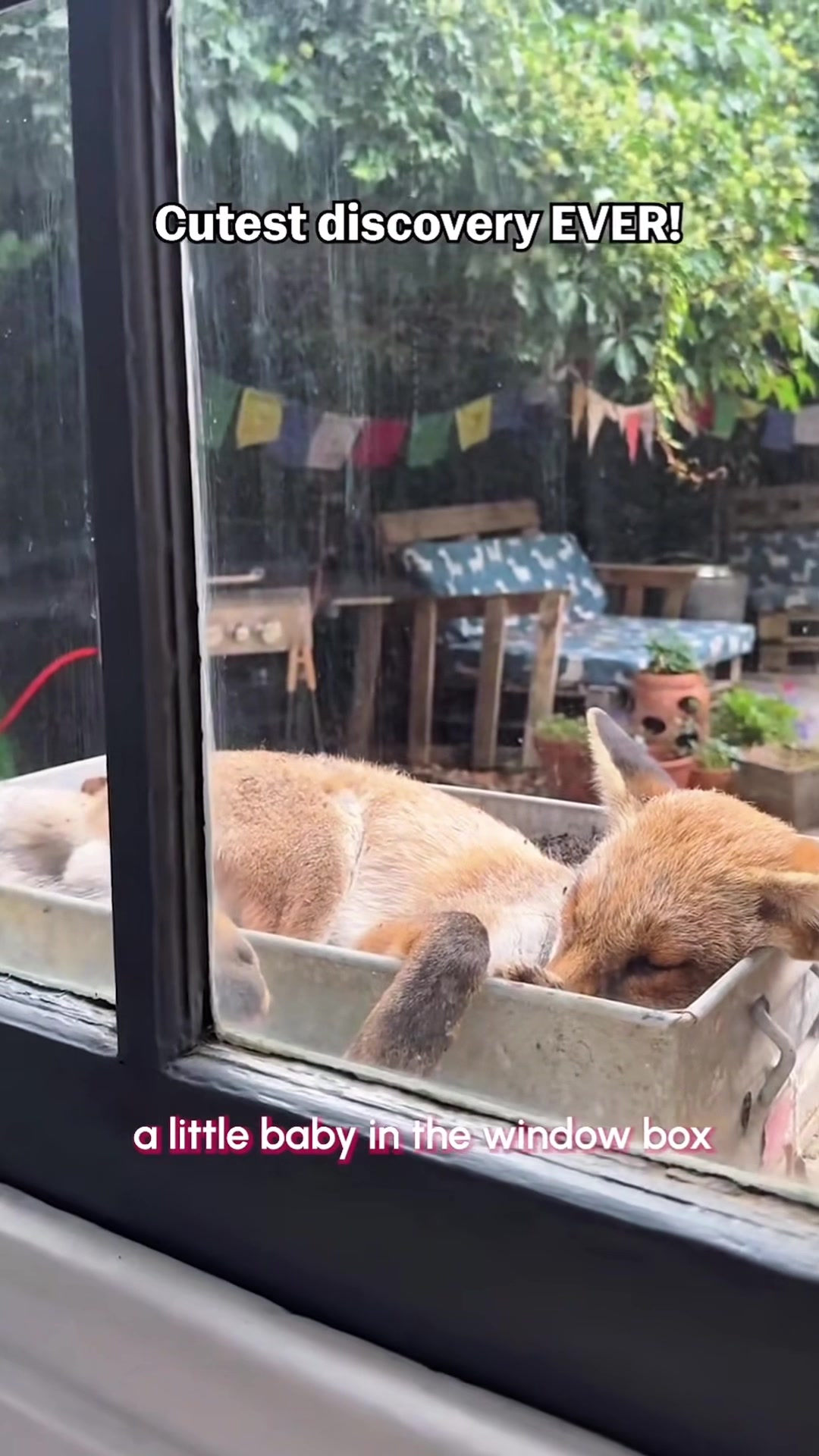 @NakadZoo!