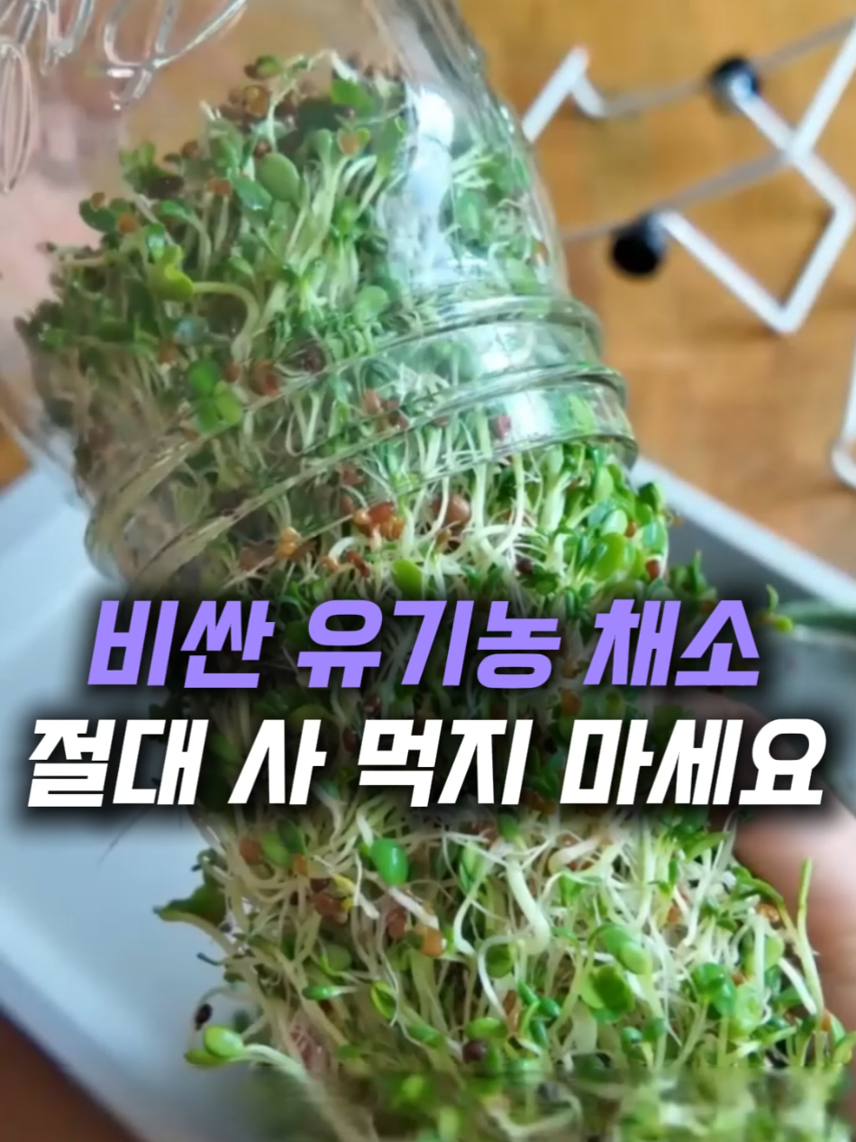@헤헤홈템