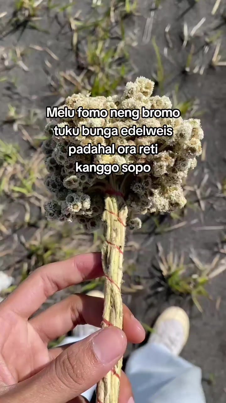 @๐ป๐๐๐๐๐.๐ฝ๐๐๐๐_๐