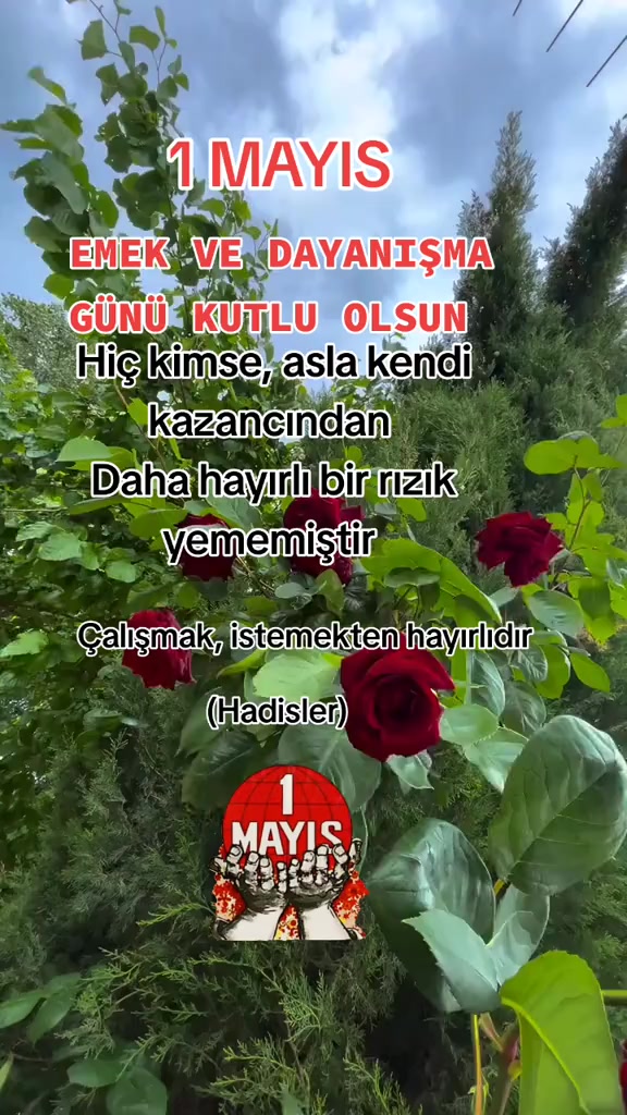 @58_Sevil