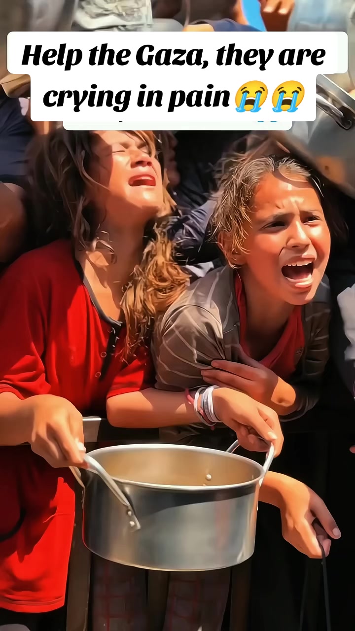 @free Palestinian