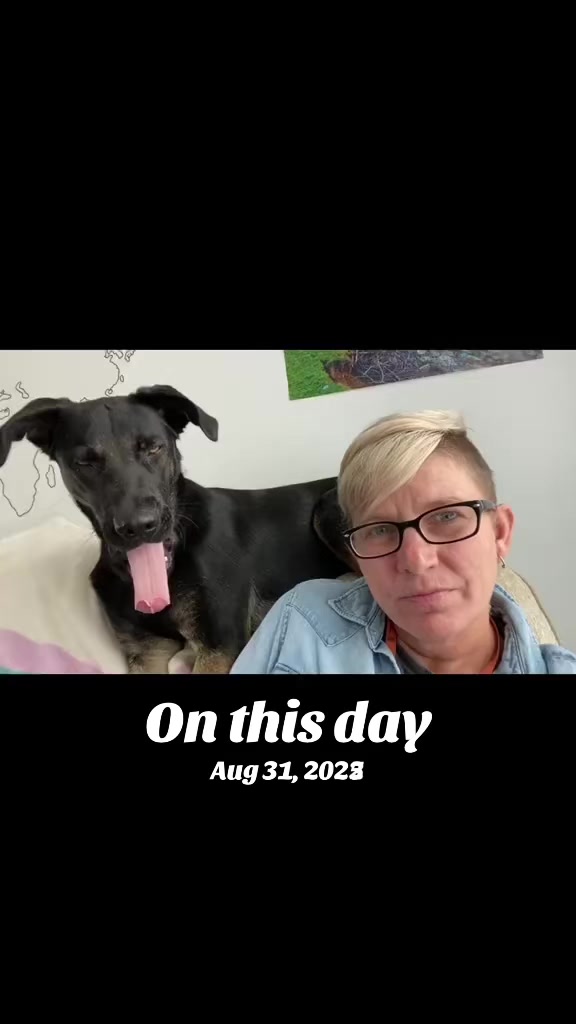 @discostar40🇨🇦