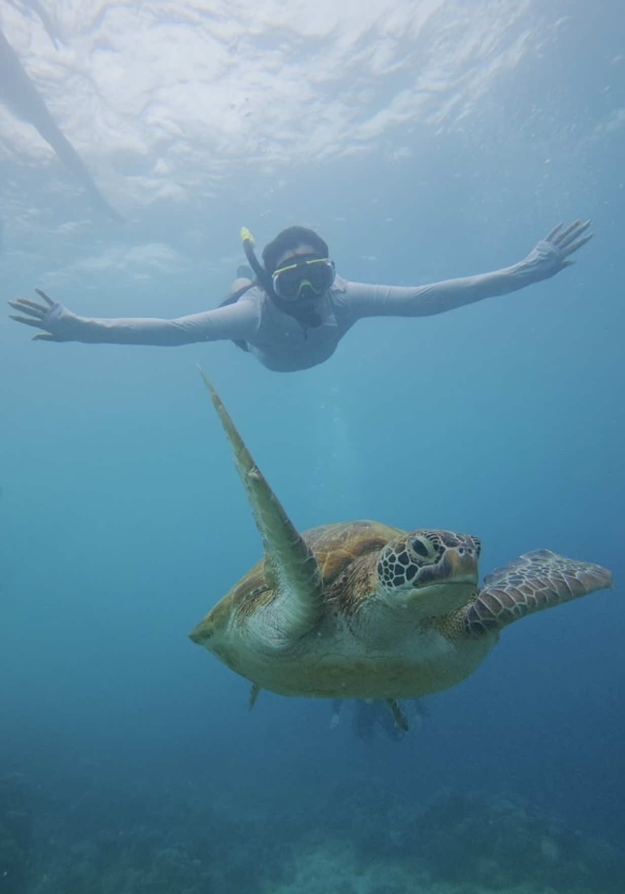 @inst: younesscoo_
