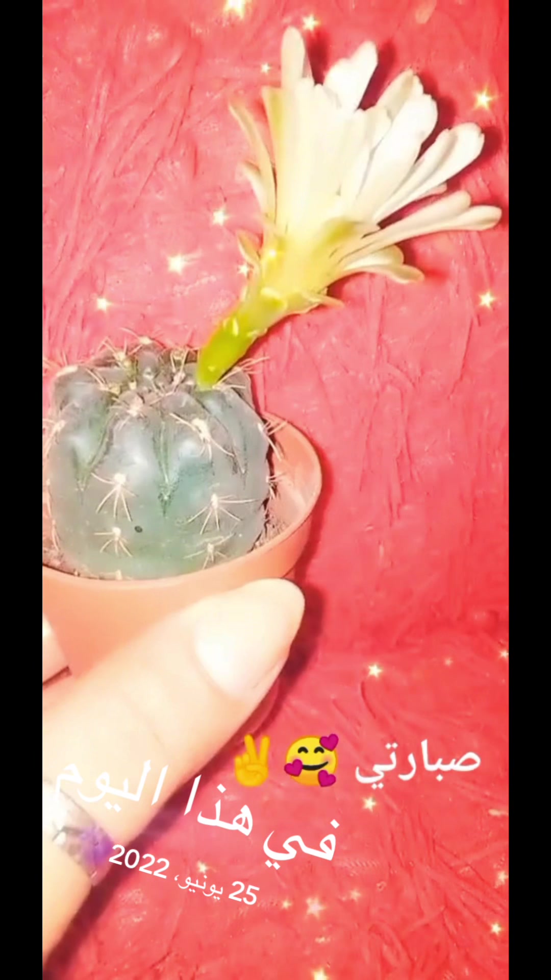 @توته ملتوته🍓☺️✌️