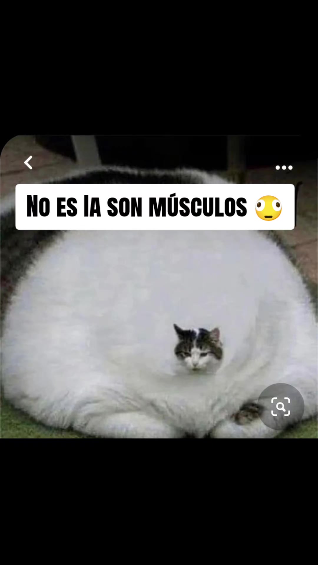 @Enrique Said
