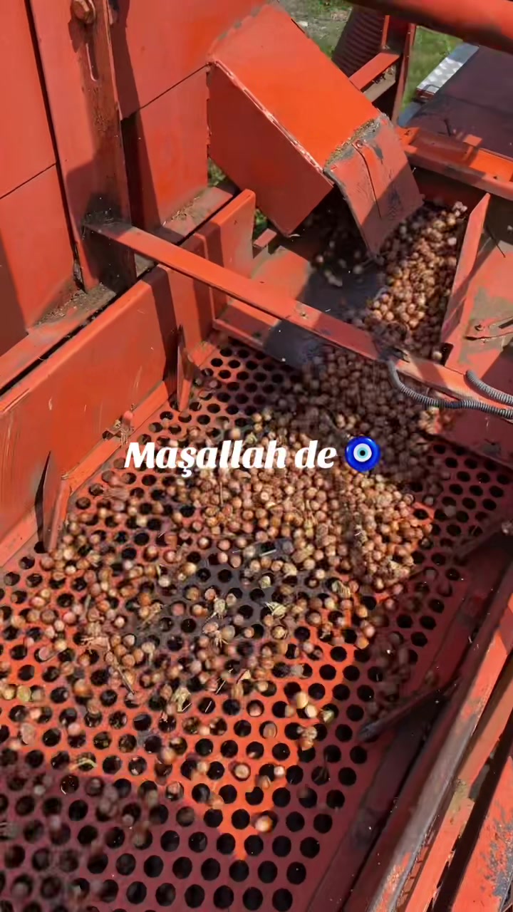 @TC _Aslan _Özcan