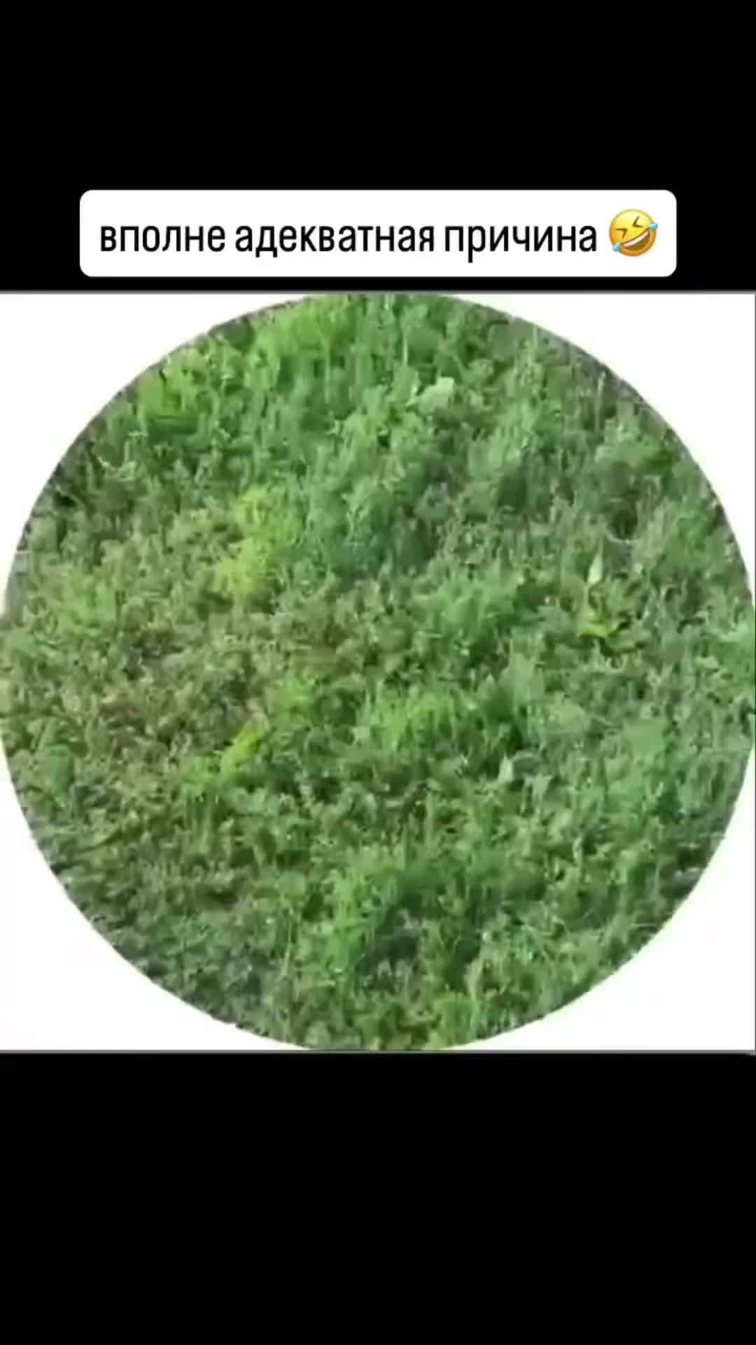 @Ahperzhan