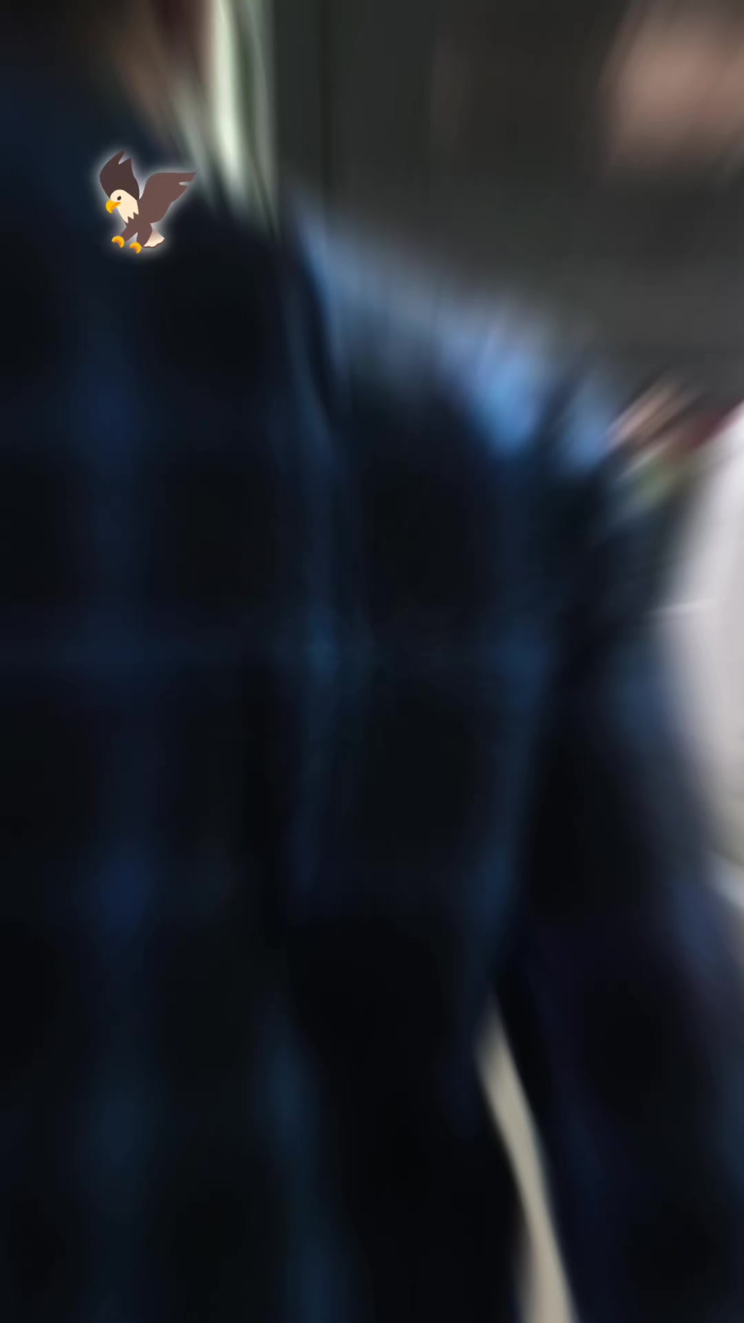 @alichagata