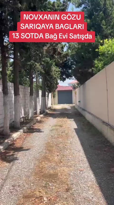 @Novxanı Emlak