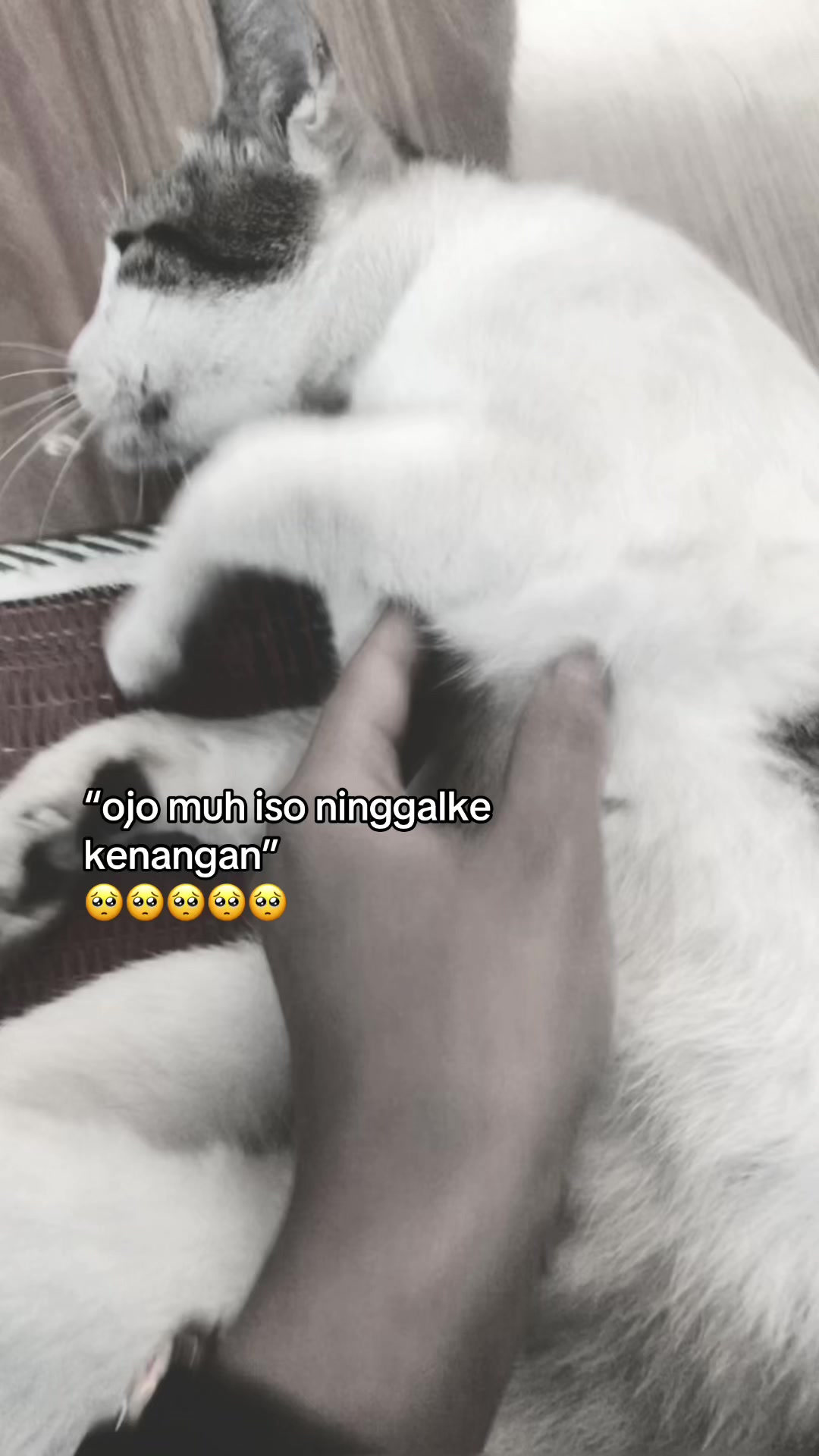 @ya•ya