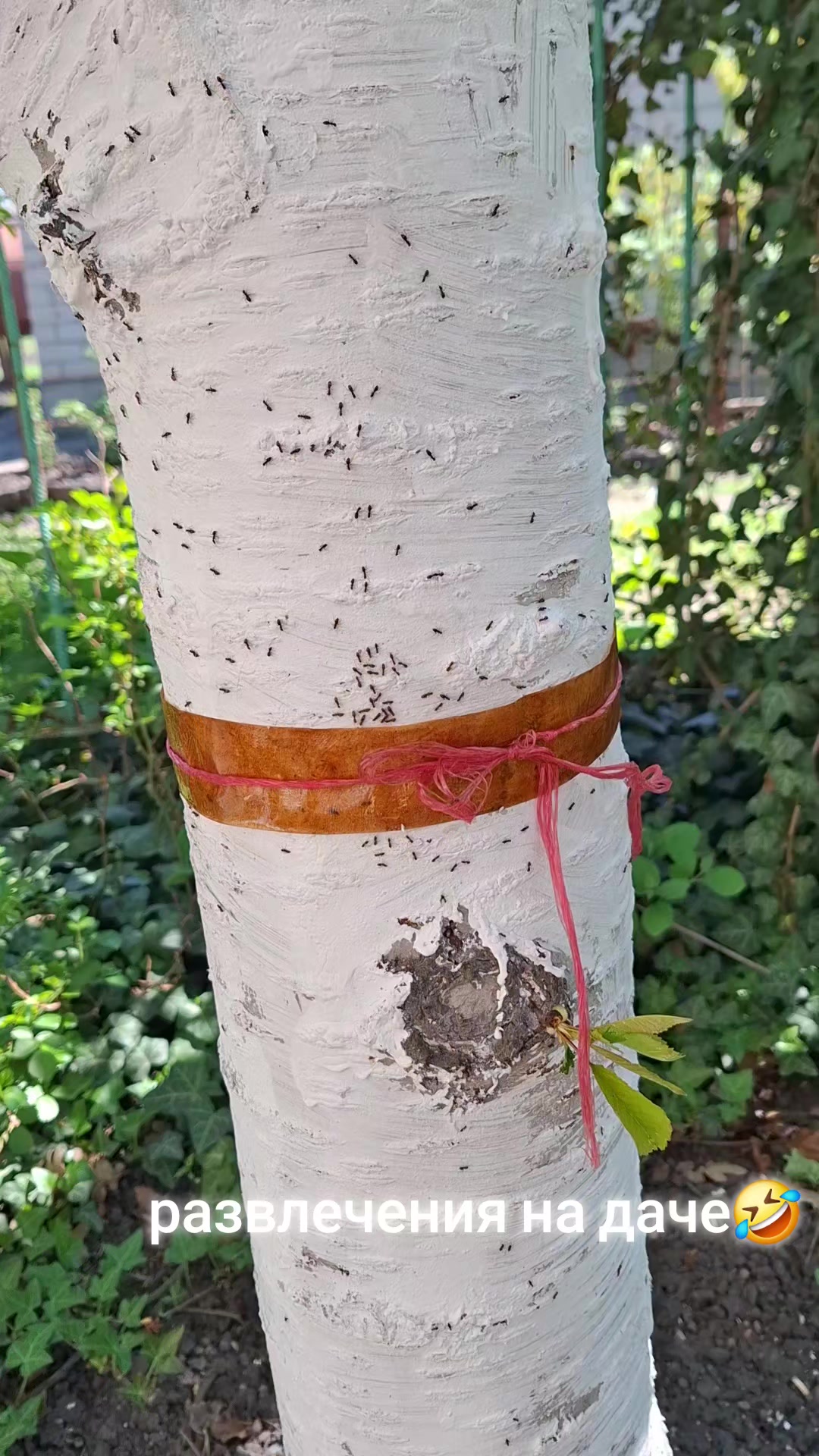 @Татьяна.