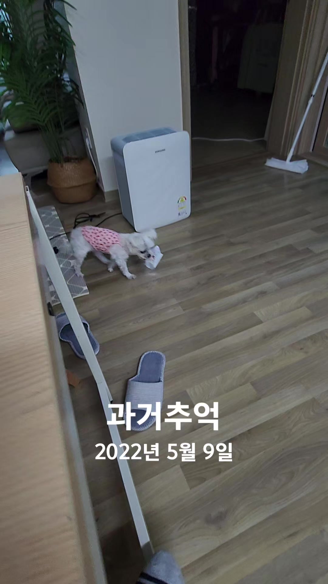 @초롱맘