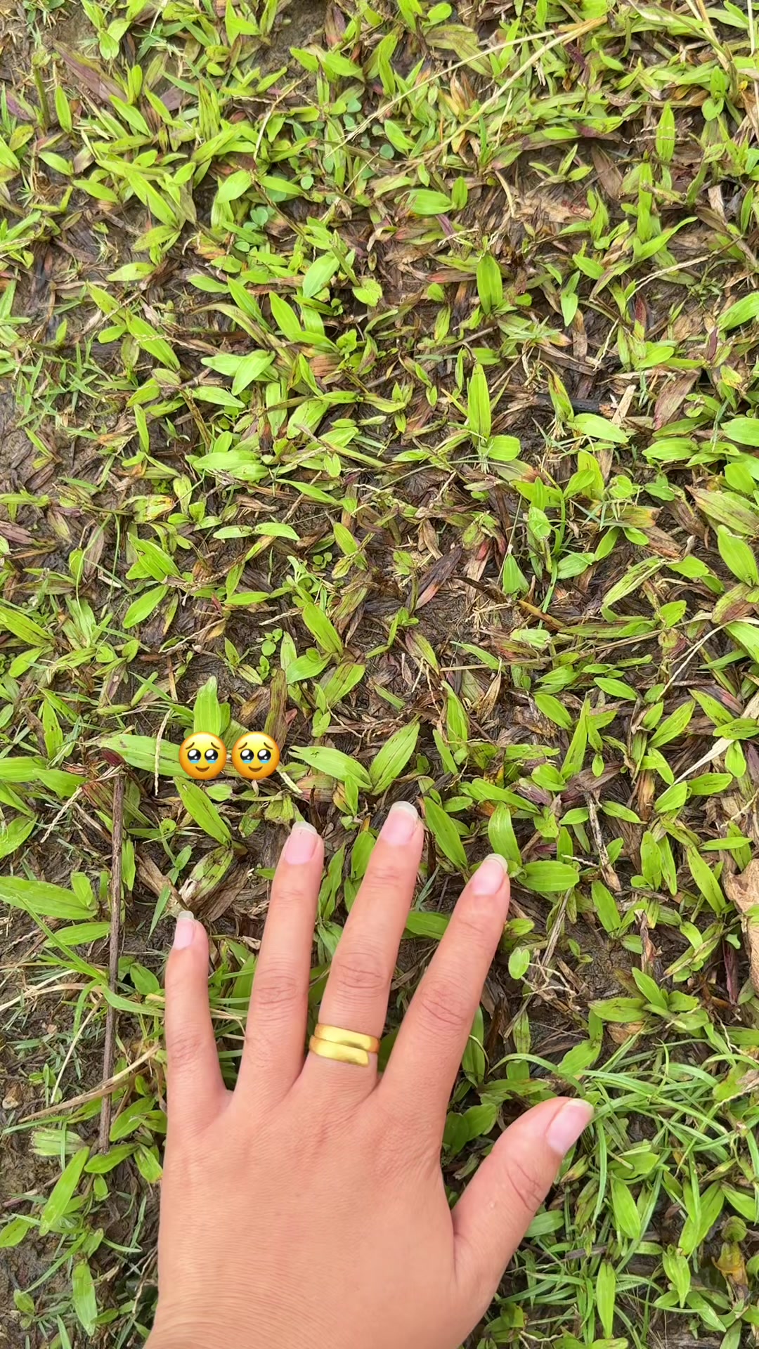 @๐๐๐ฎ ๐๐๐ฎ โ(แแพแแบแธแแแฑแธ)