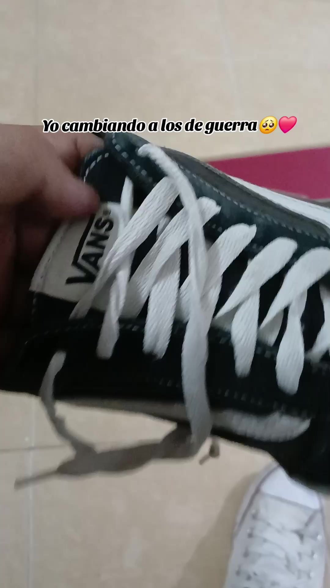 @edizlap