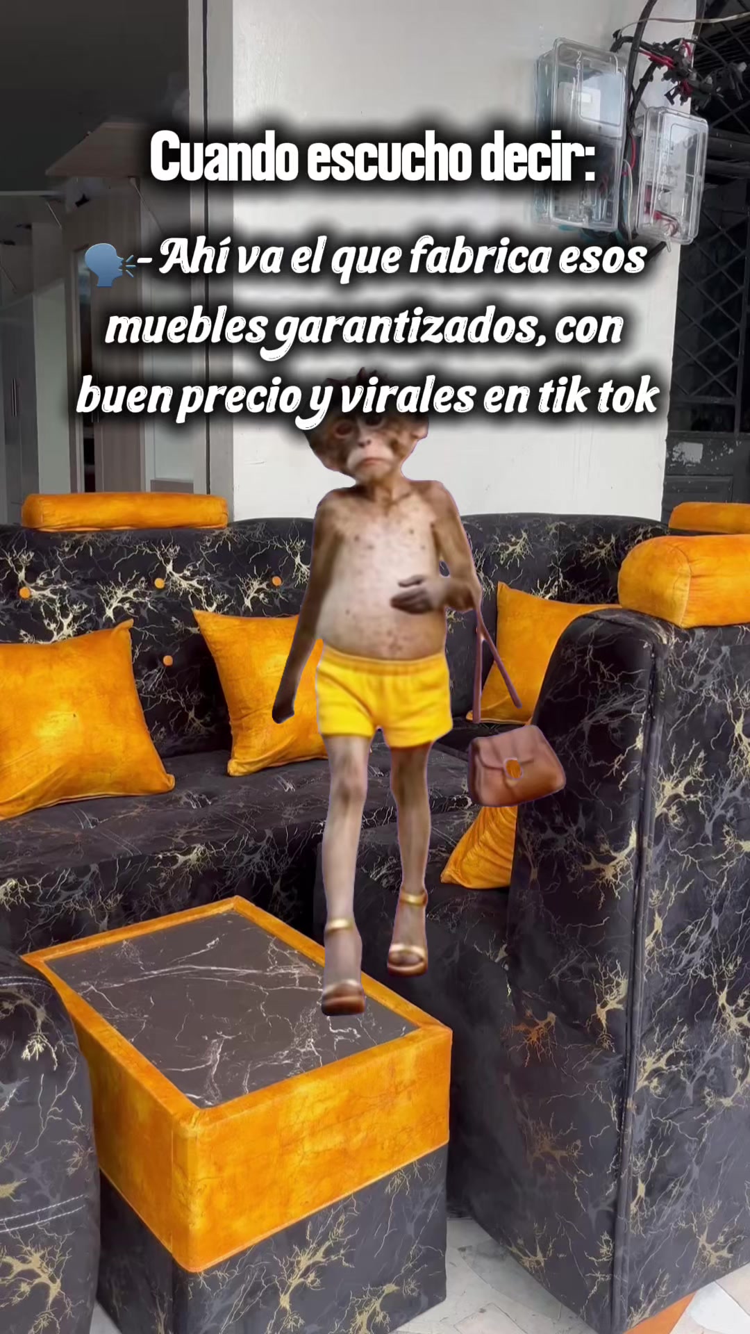 @Mueblería San Andrés