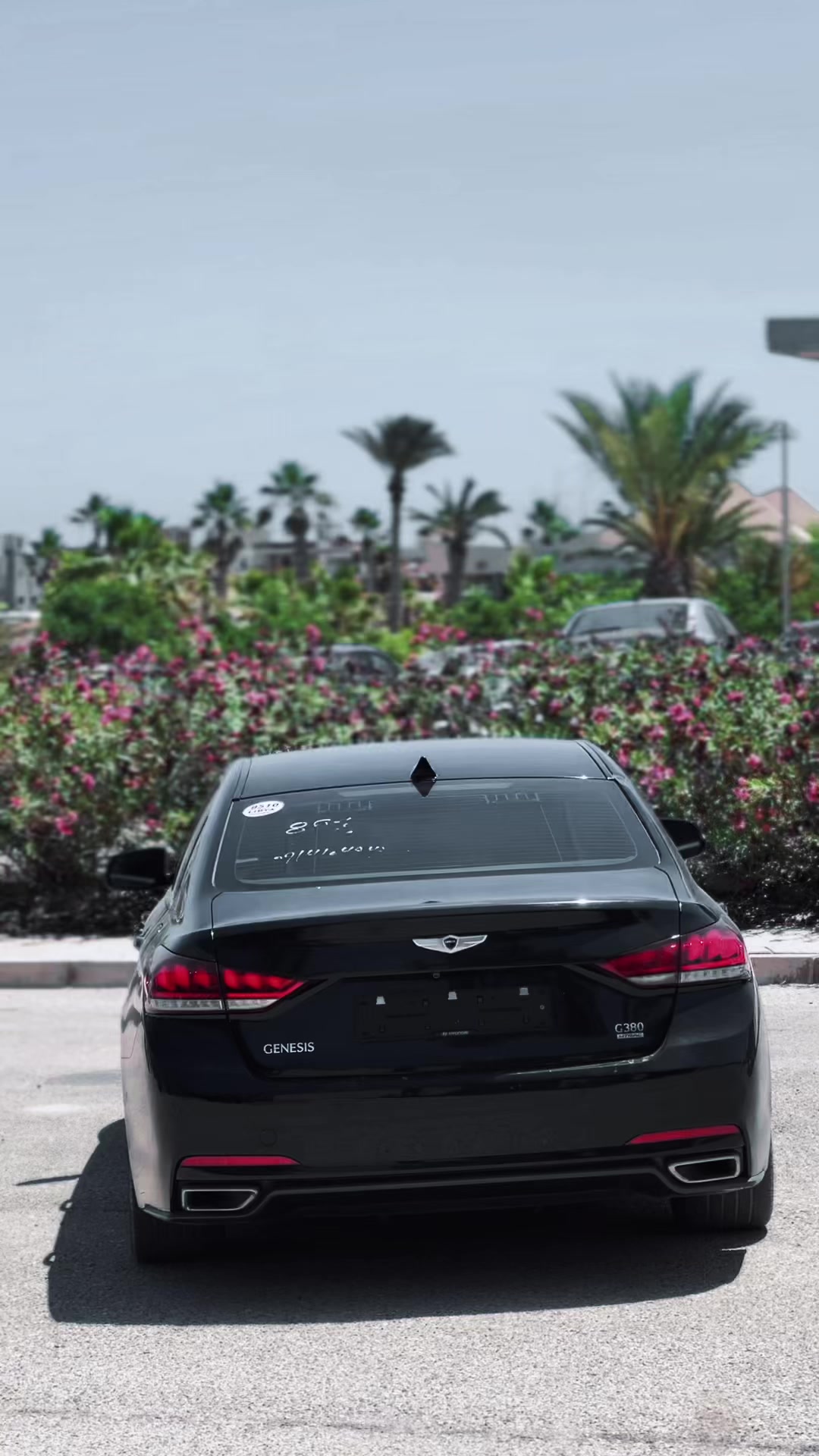 @معاد الزروقي