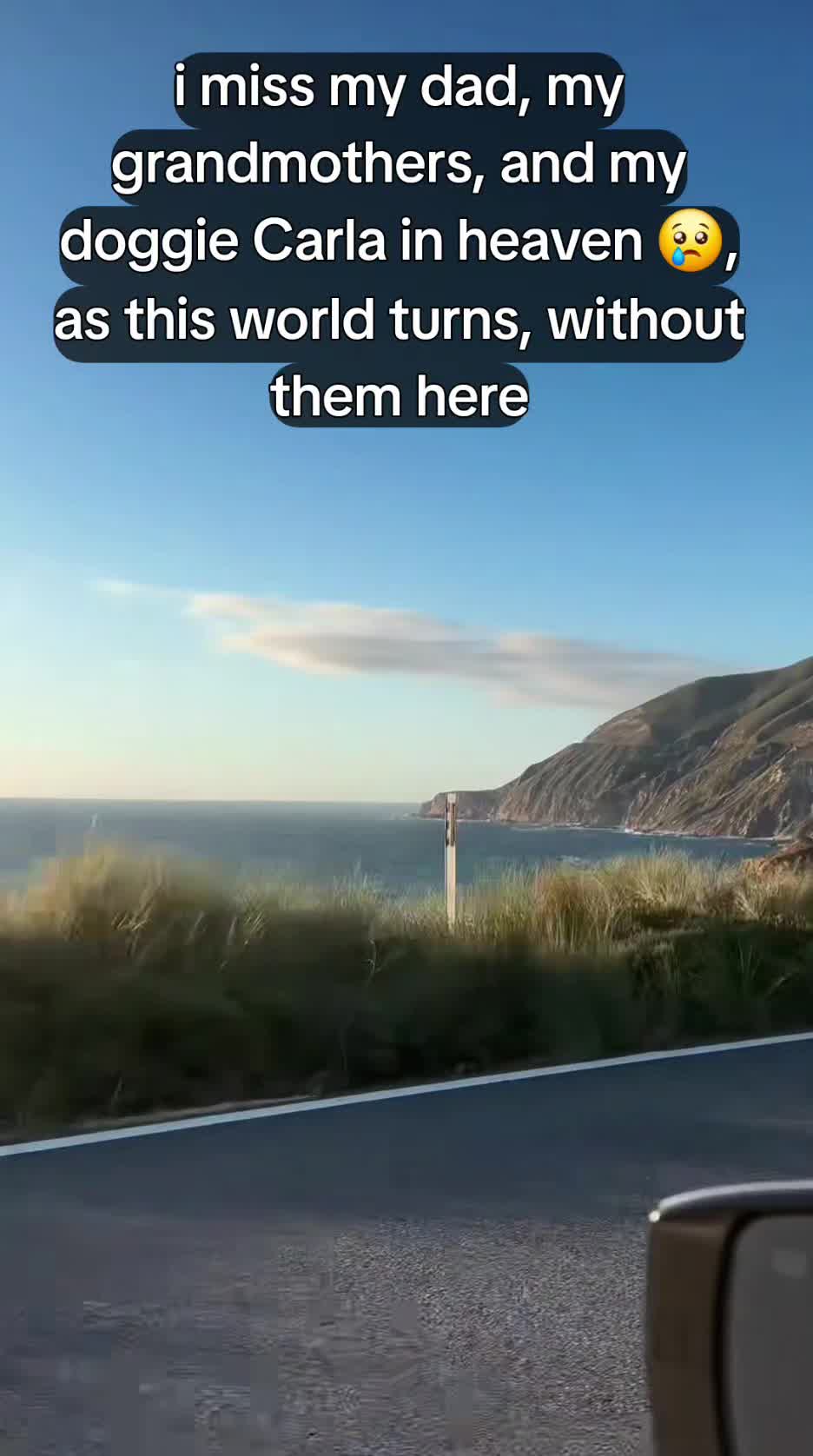 @FastBrian 1