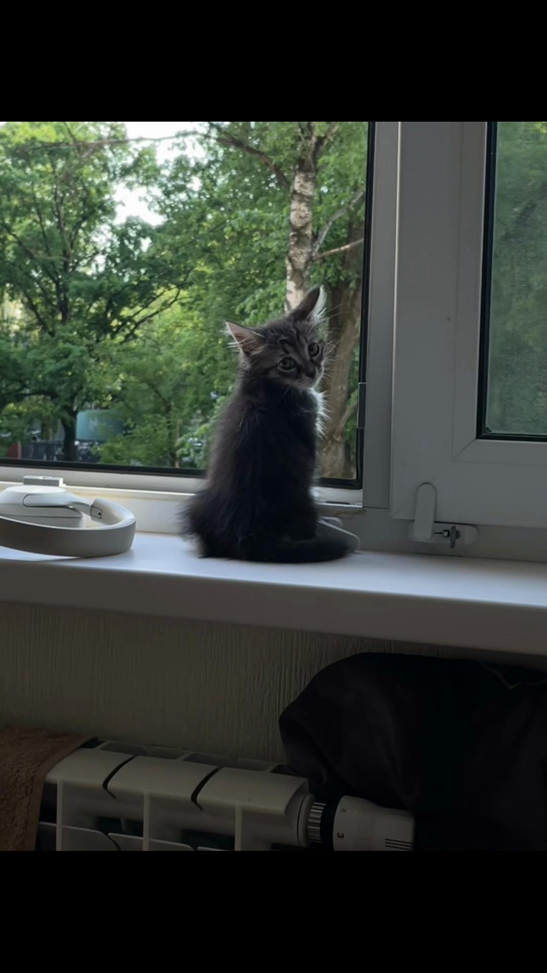 @трэвис