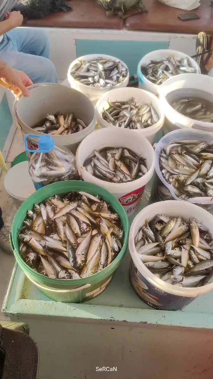 @SeRCan KaPTaNLa TeKNe KeYFi