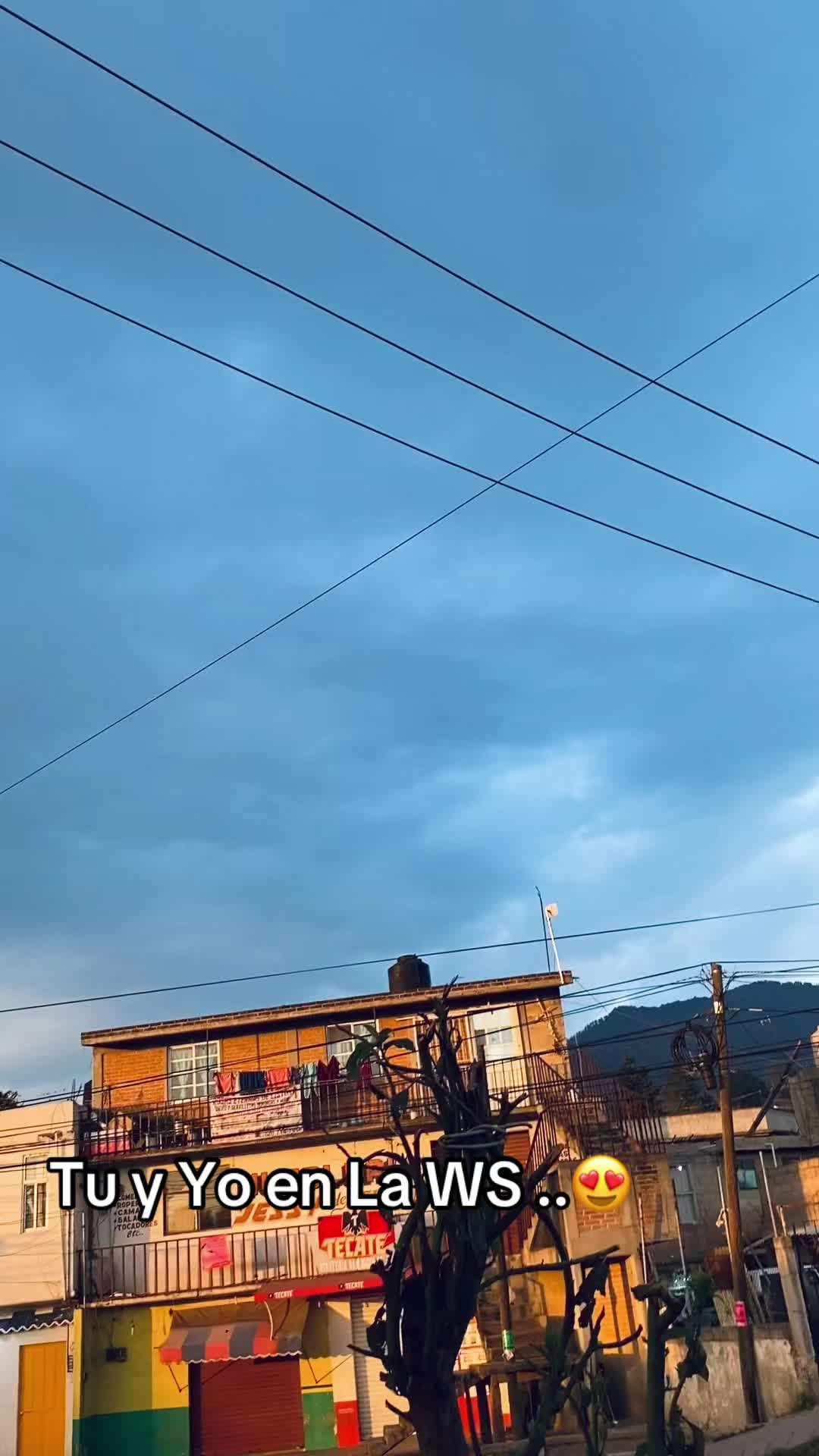 @cn_bris