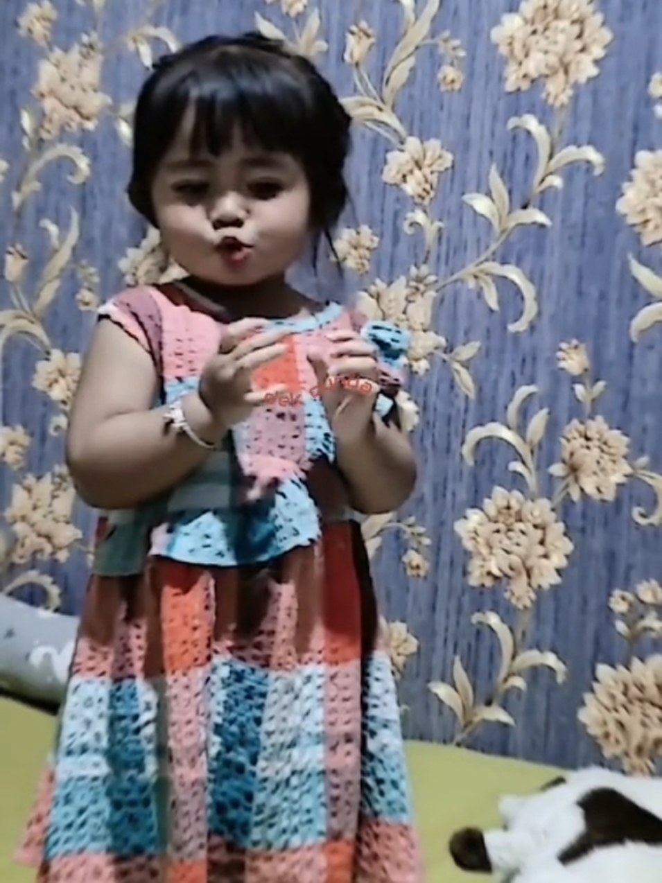 @๐๐๐ค ๐๐ฎ๐ง๐๐แฅซแญก.