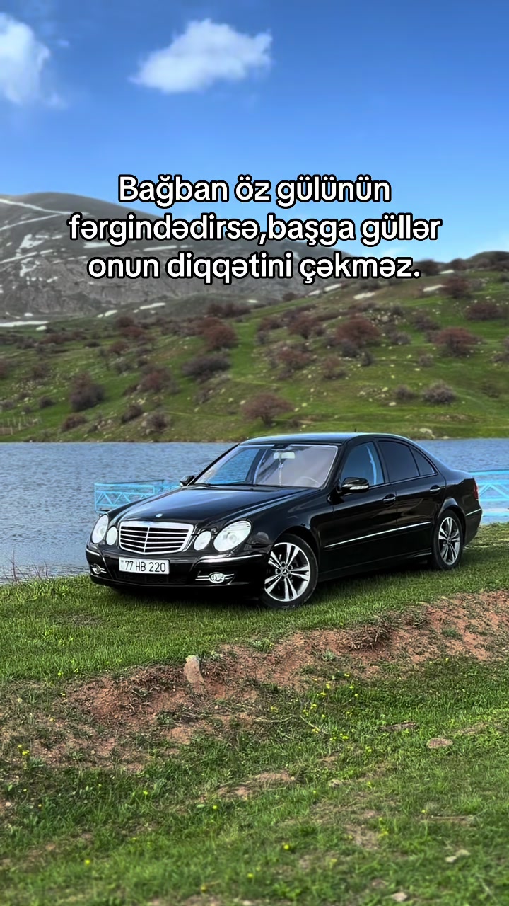 @MM 085🦅