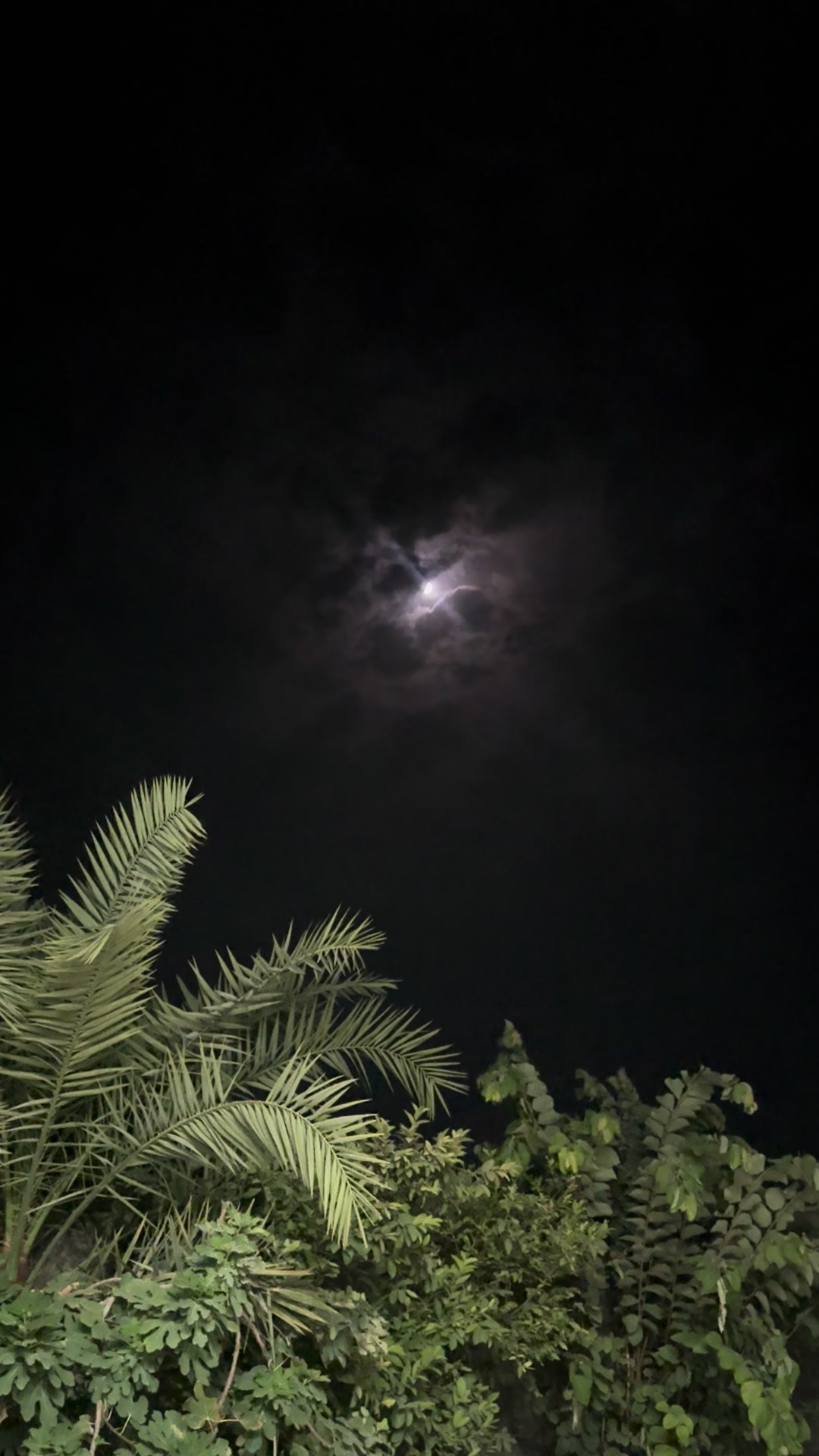 @maahbaloch94