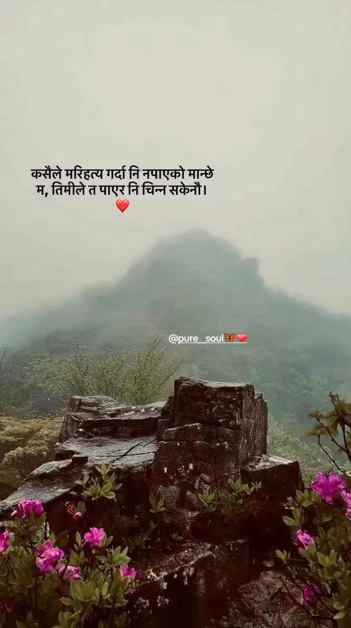@pure__soul🦋❤️