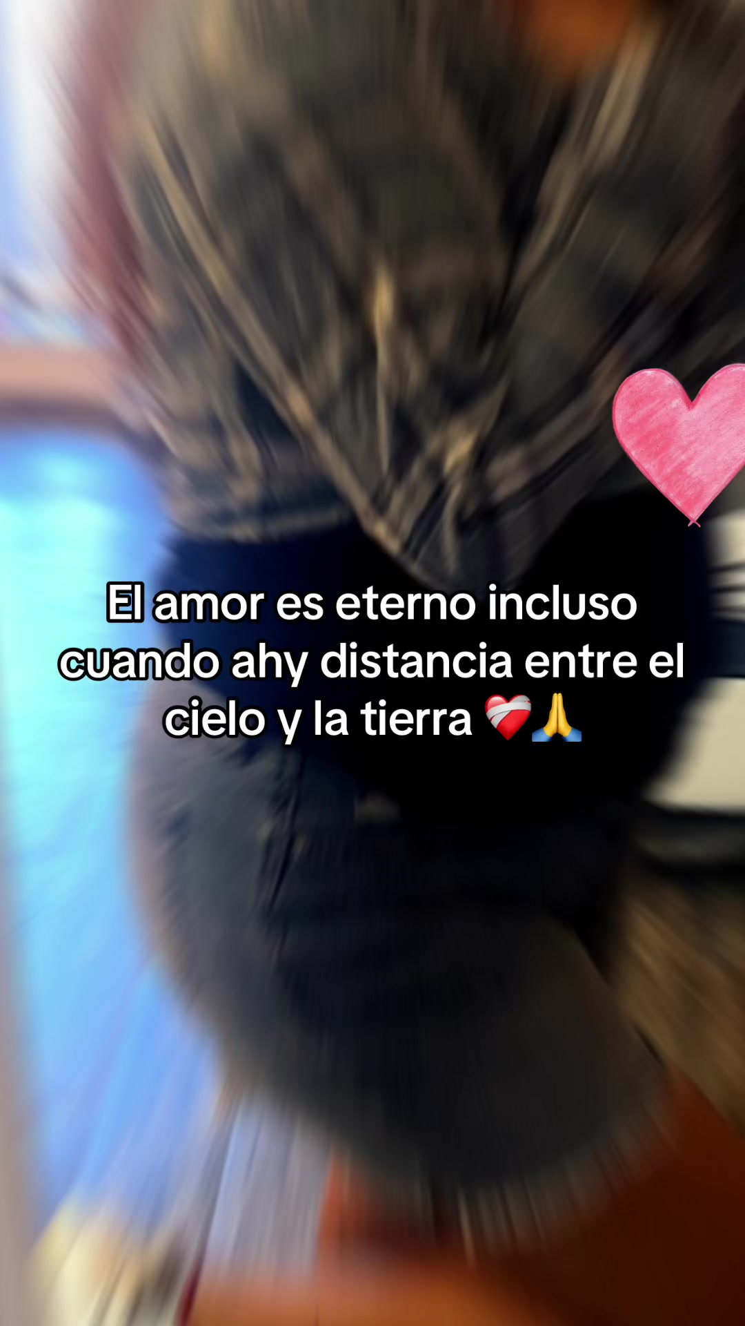 @Jessy P 👑