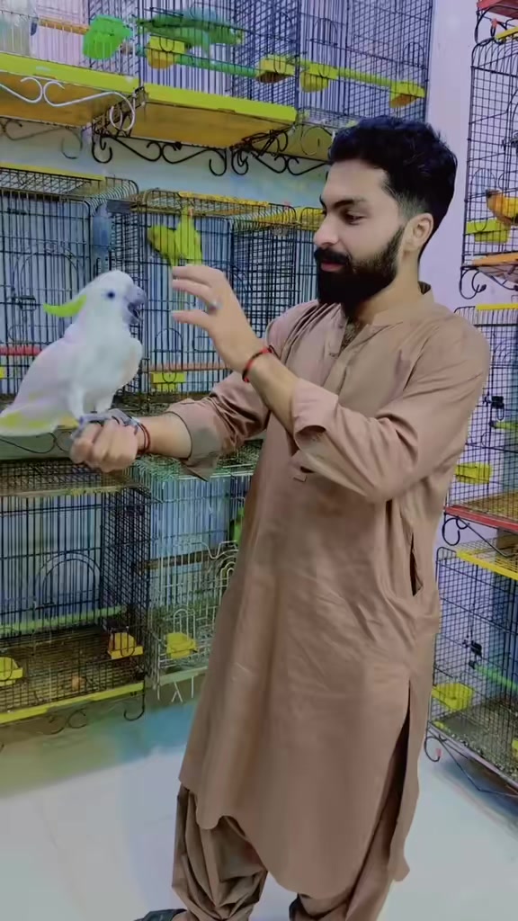 @Muصawwiر Kakkar