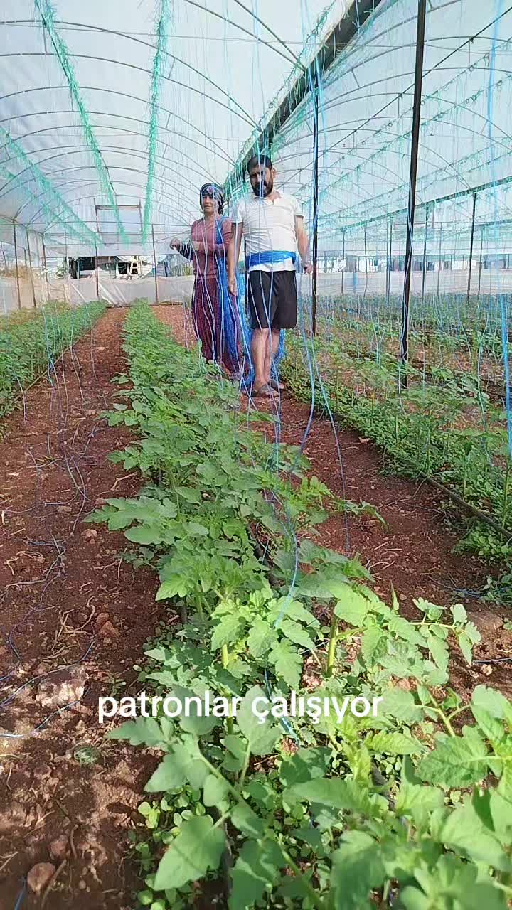 @havva gümüş