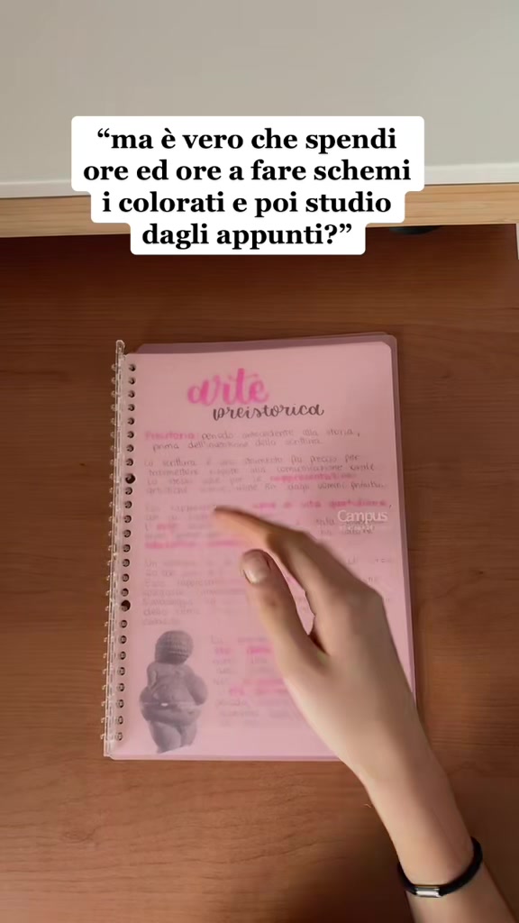@Lety | studytok & tips ˙⋆✮