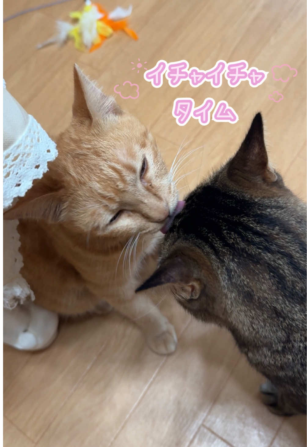 @さっことおちょ