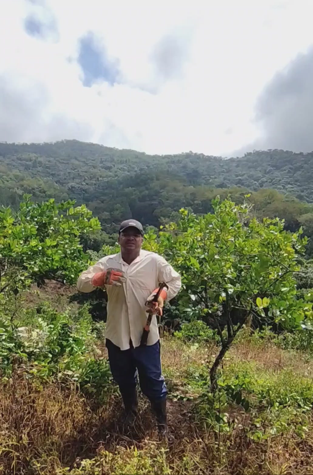 @Cítricos Ramirez 🍋