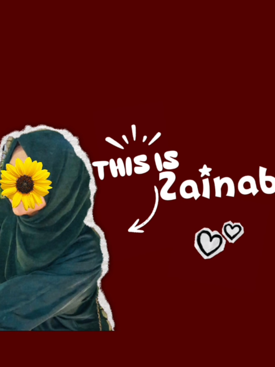 @Zainab Amir
