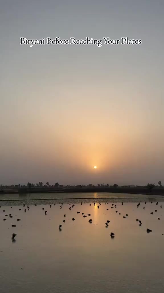 @𝗥𝗮𝗻𝗮 𝗨𝘀𝗺𝗮𝗻❤💫