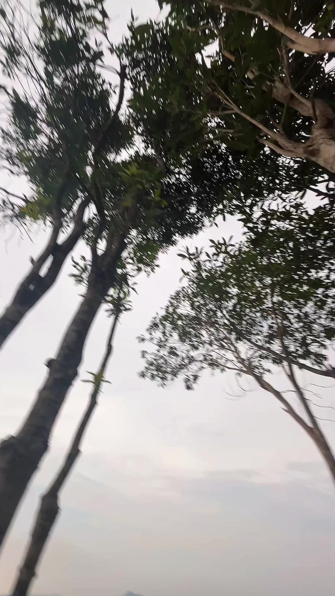 @Yanashhh