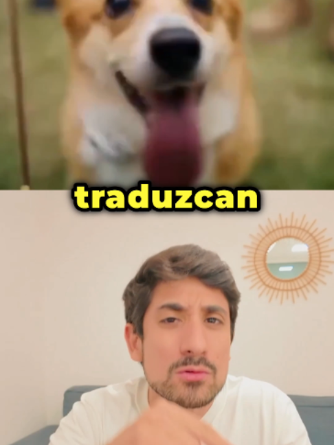 @Javier Cazarez