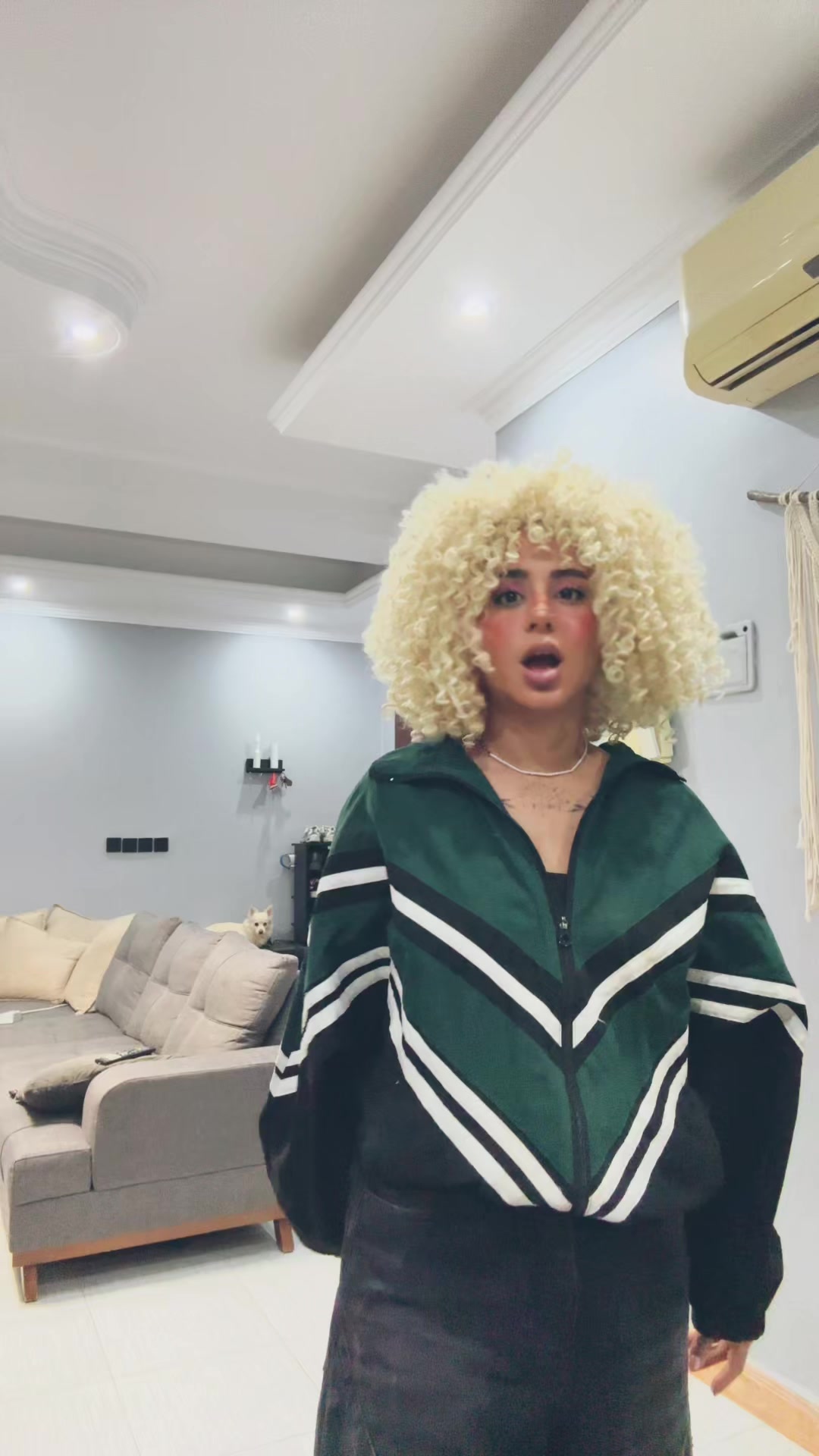 @atousaism